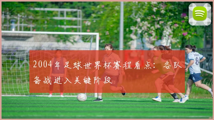 2004年足球世界杯赛程看点：各队备战进入关键阶段