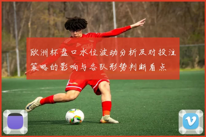 欧洲杯盘口水位波动分析及对投注策略的影响与各队形势判断看点