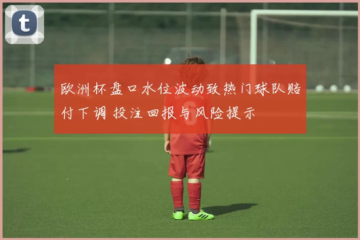 欧洲杯盘口水位波动致热门球队赔付下调 投注回报与风险提示