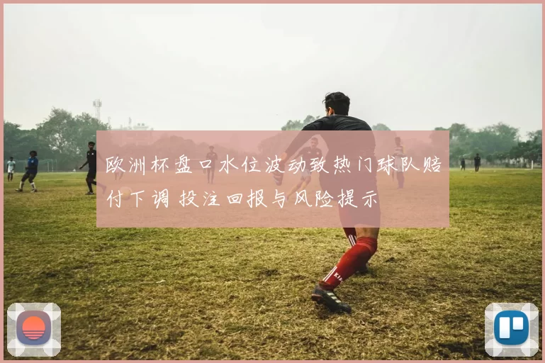 欧洲杯盘口水位波动致热门球队赔付下调 投注回报与风险提示