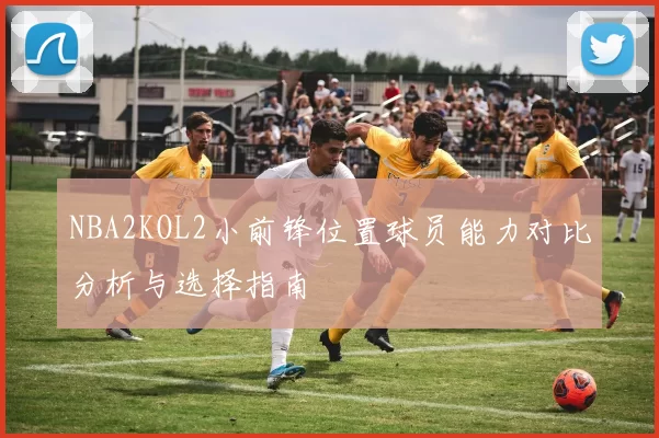 NBA2KOL2小前锋位置球员能力对比分析与选择指南